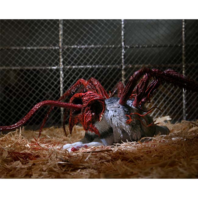 NECA The Thing - Deluxe Ultimate Dog Creature 7