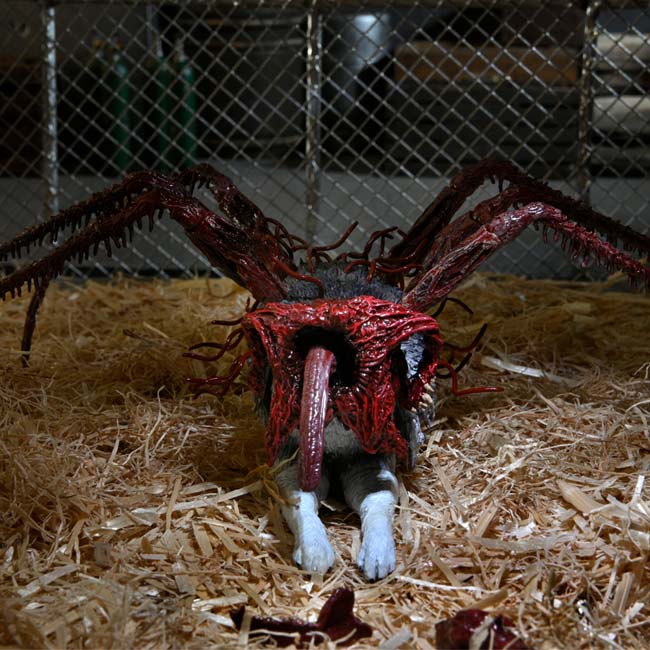 NECA The Thing - Deluxe Ultimate Dog Creature 7