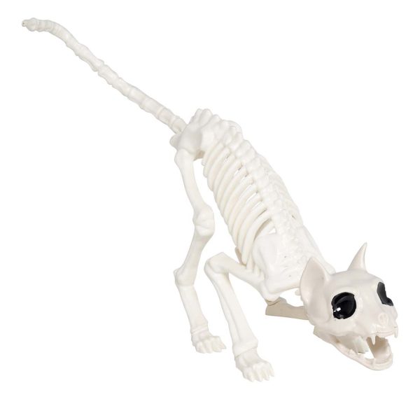 cat skeleton halloween