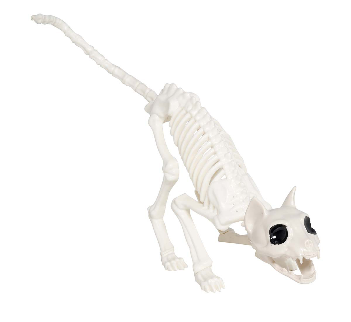 Boney Skeleton Cat