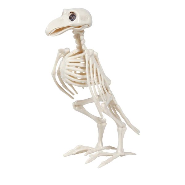 skeleton crow halloween decoration