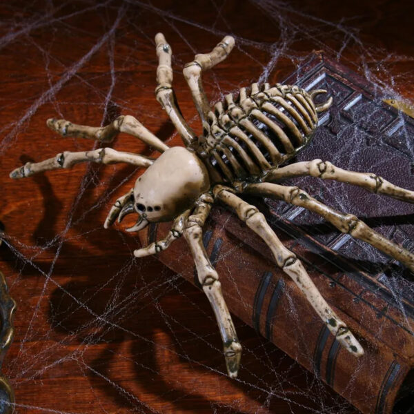 spider skeleton halloween decor