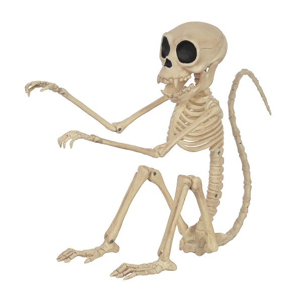 halloween monkey skeleton decoration