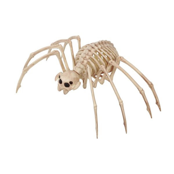 spider skeleton halloween prop