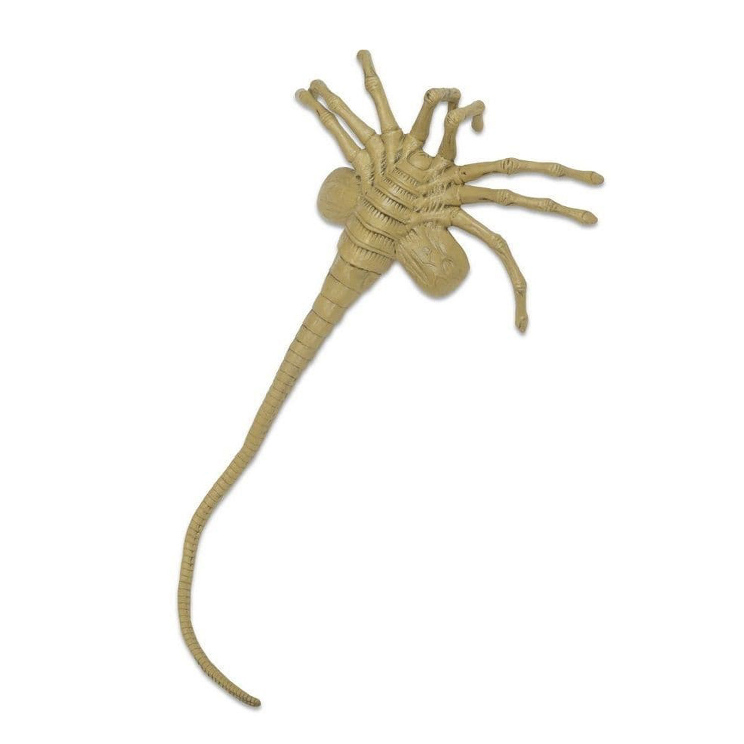 NECA Aliens - Foam Prop Replica - Facehugger - PRE ORDER