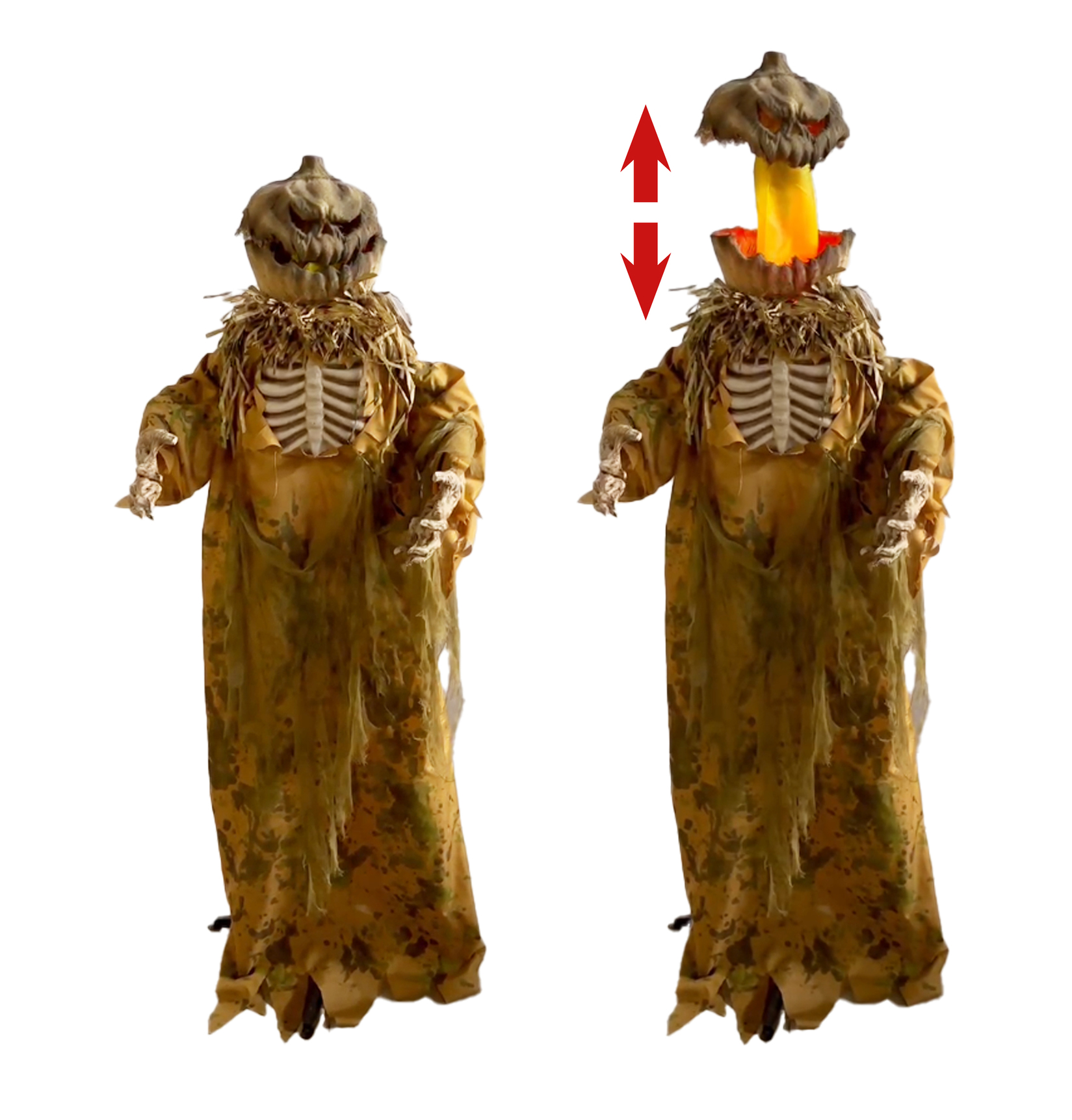 Homme citrouille debout de 5,5 pieds à tête pop-up