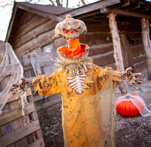 Homme citrouille debout de 5,5 pieds à tête pop-up