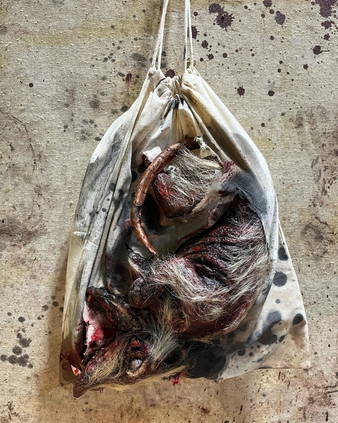 Roadkill Opossum in a Bag Prop