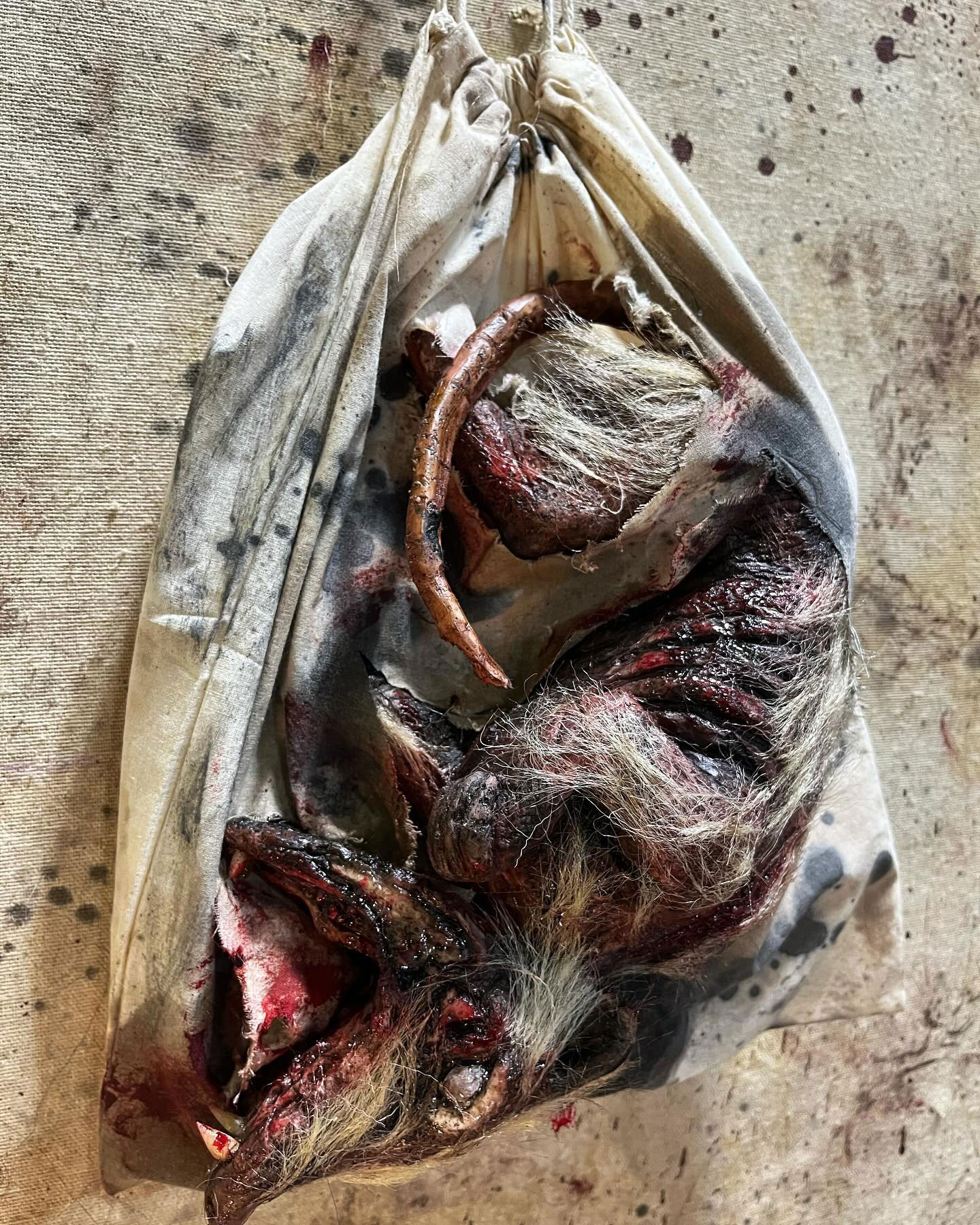 Roadkill Opossum in a Bag Prop