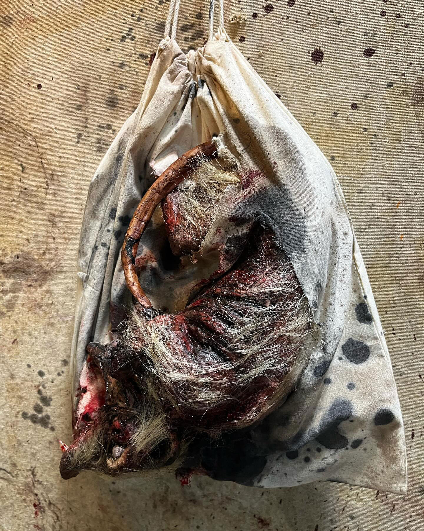 Roadkill Opossum in a Bag Prop