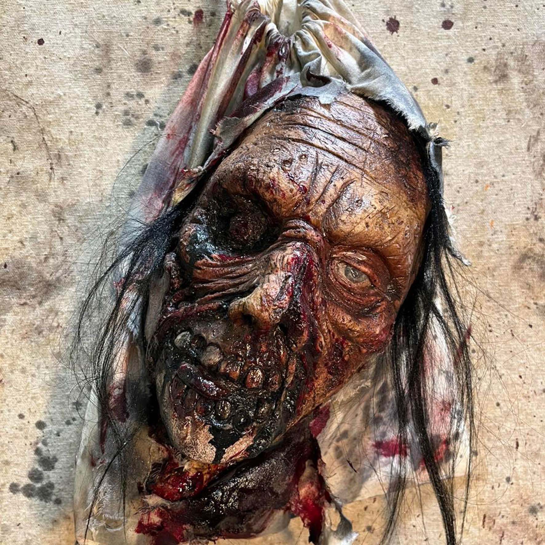 Zombie Head in a Bag Prop