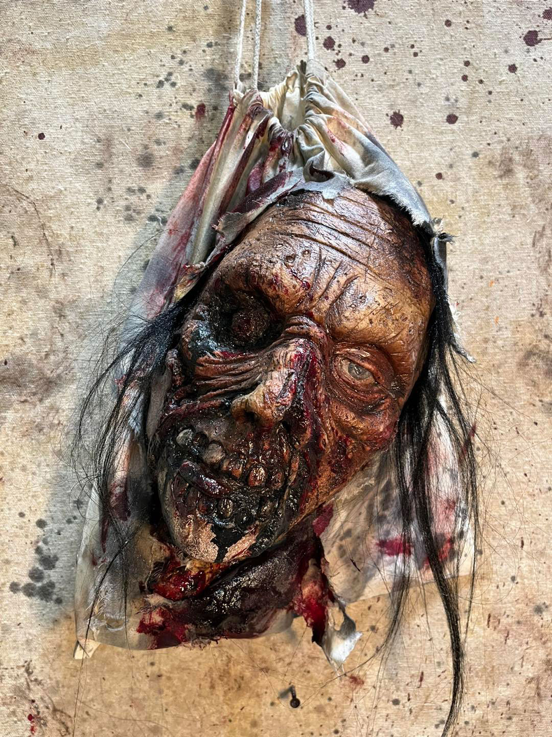 Zombie Head in a Bag Prop