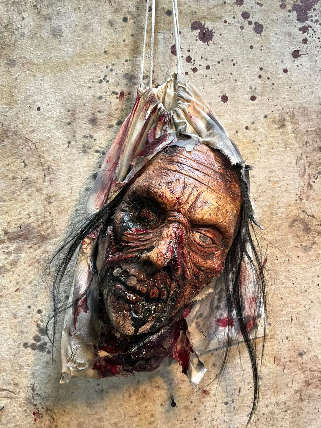 Zombie Head in a Bag Prop