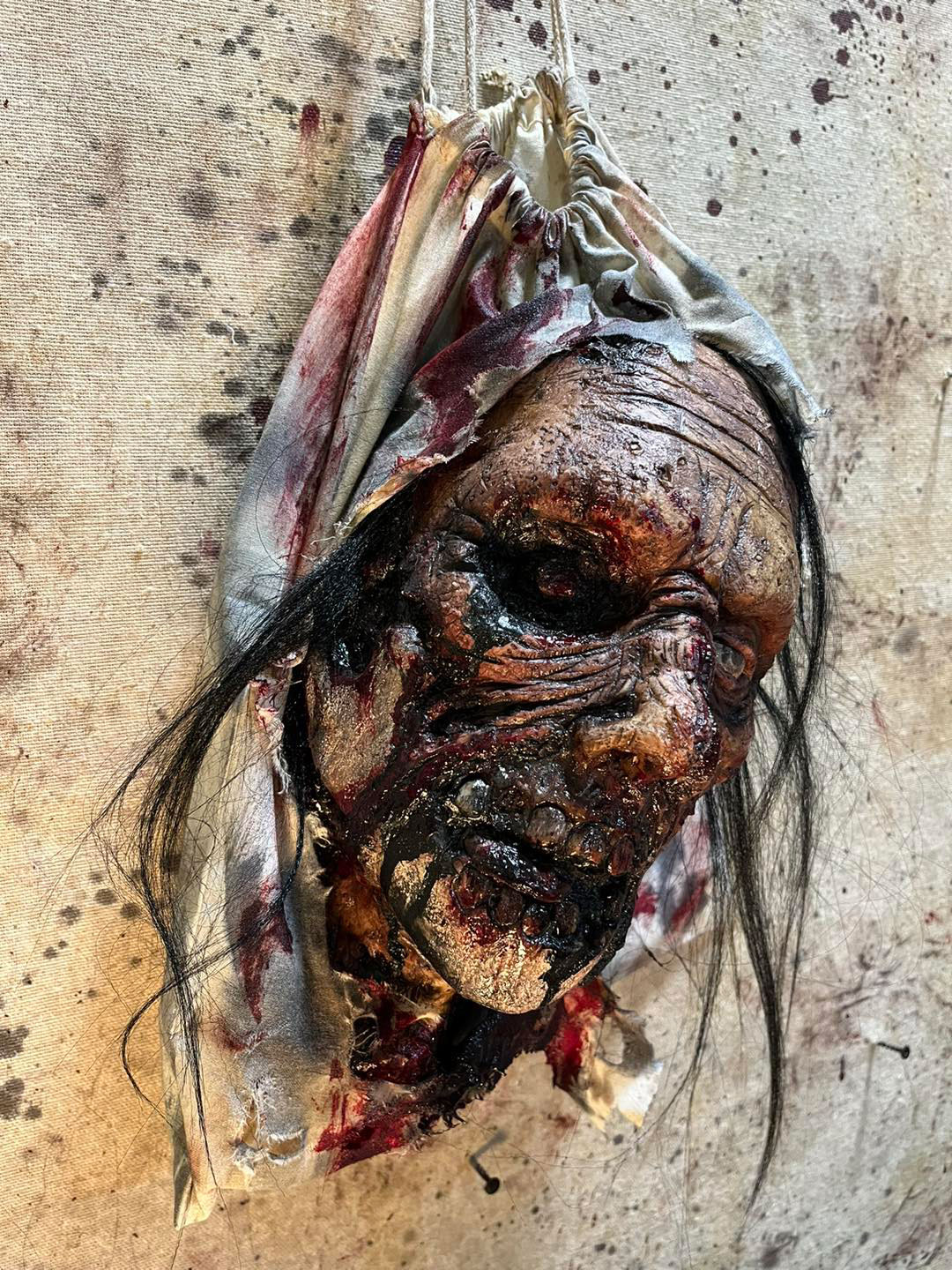 Zombie Head in a Bag Prop