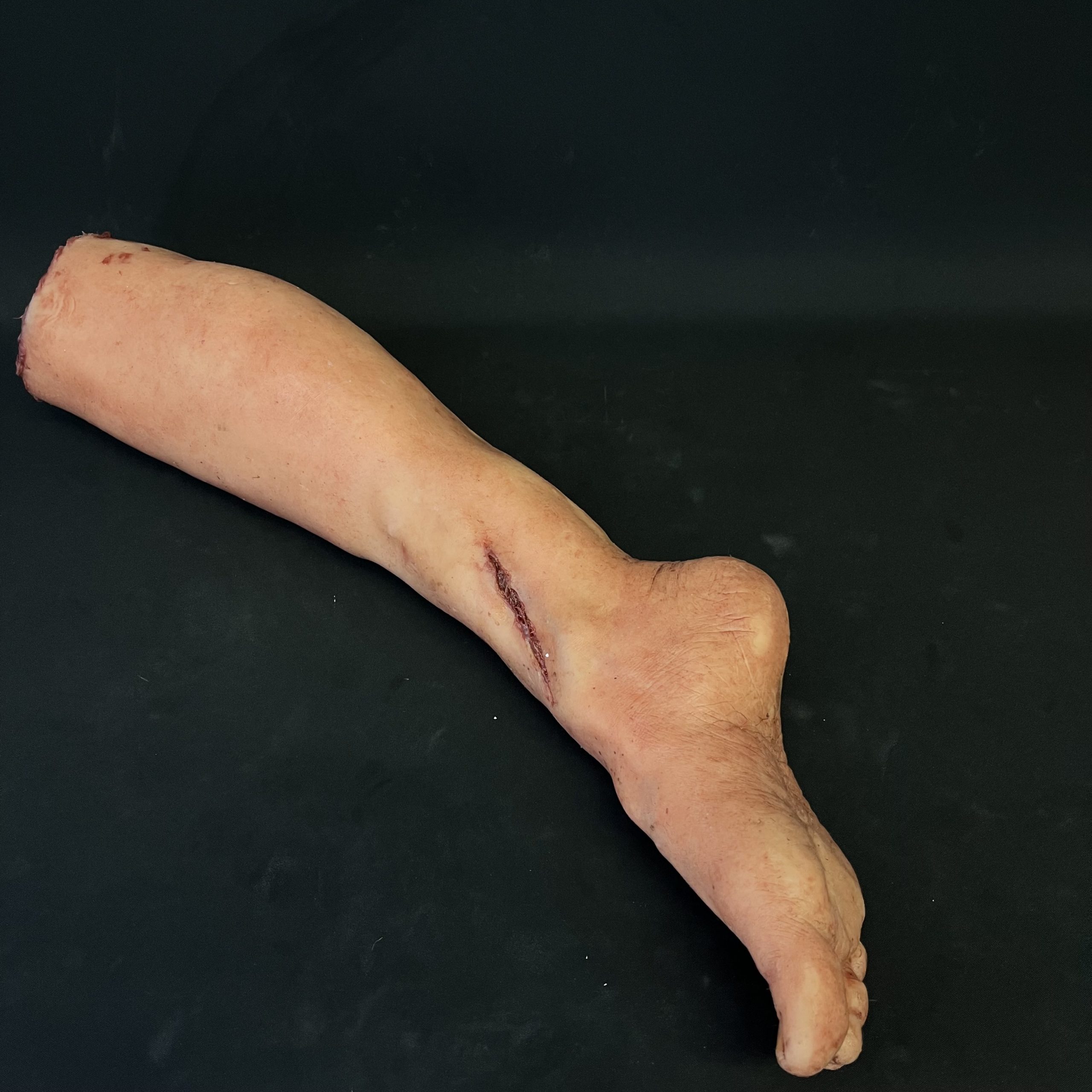 Silicone Severed Leg With Wounds - Female