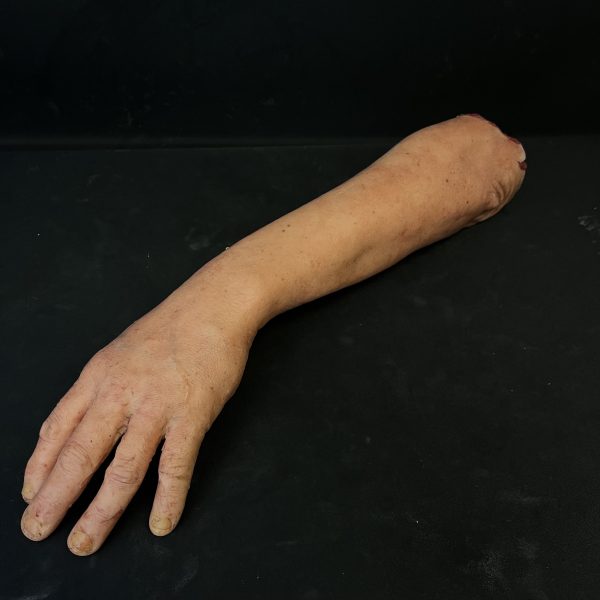 Professional Quality Severed Arm Realistic Halloween Prop