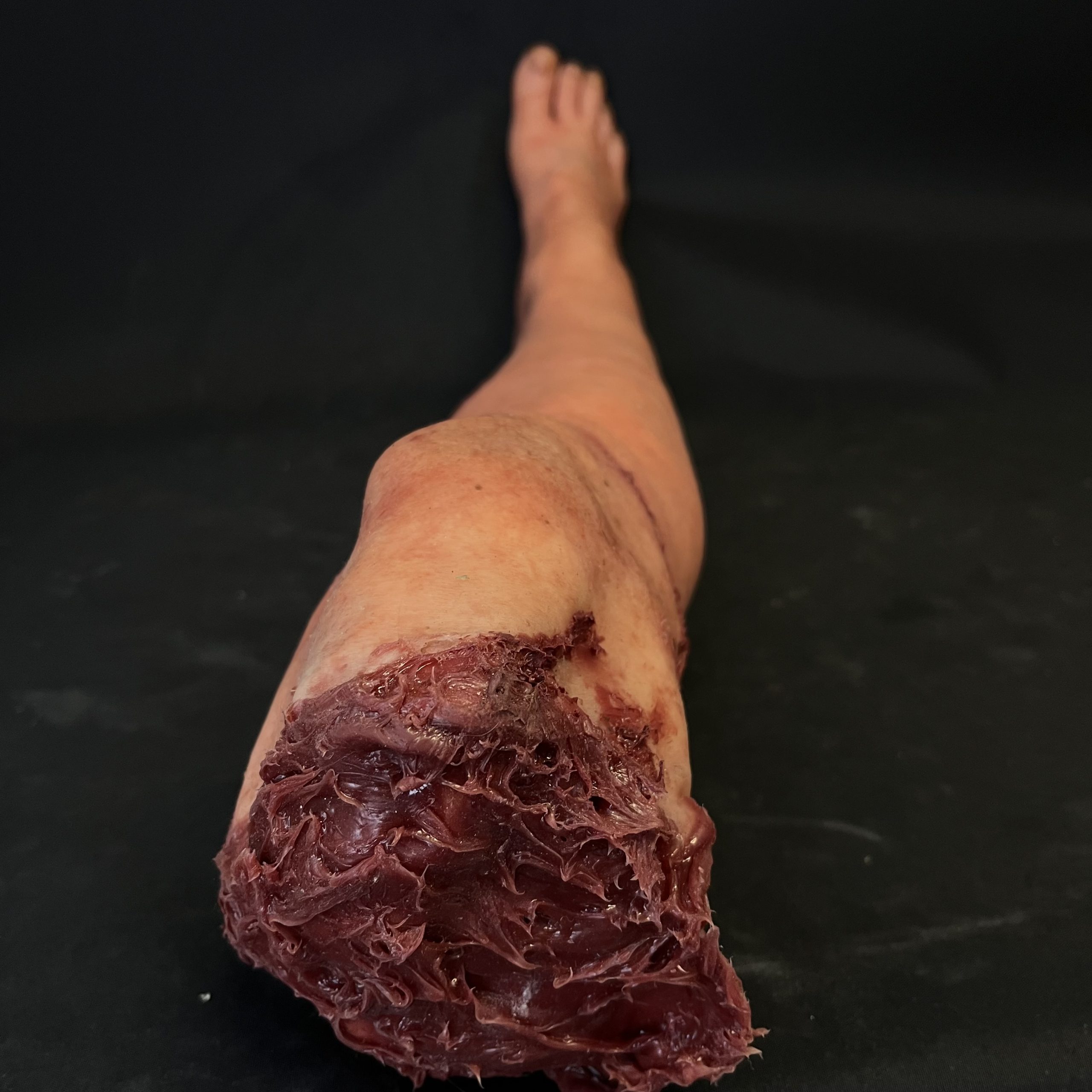 Silicone Severed Full Leg With Wounds - Female