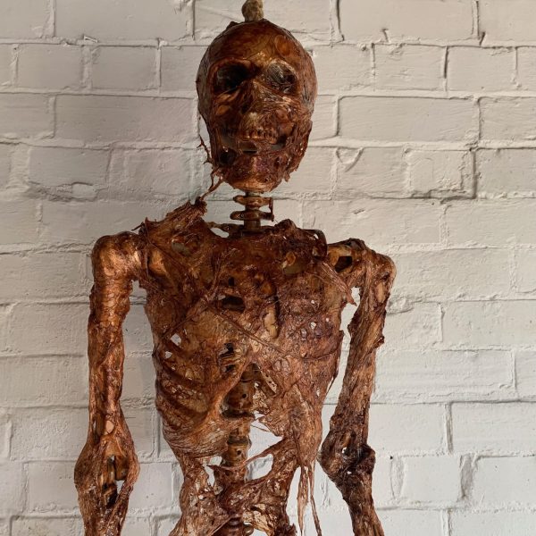 corpsed halloween skeleton