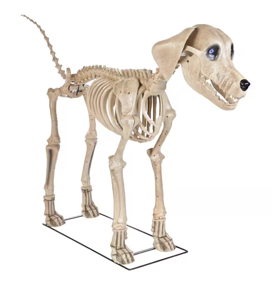 Giant Skelly's Dog Halloween Prop