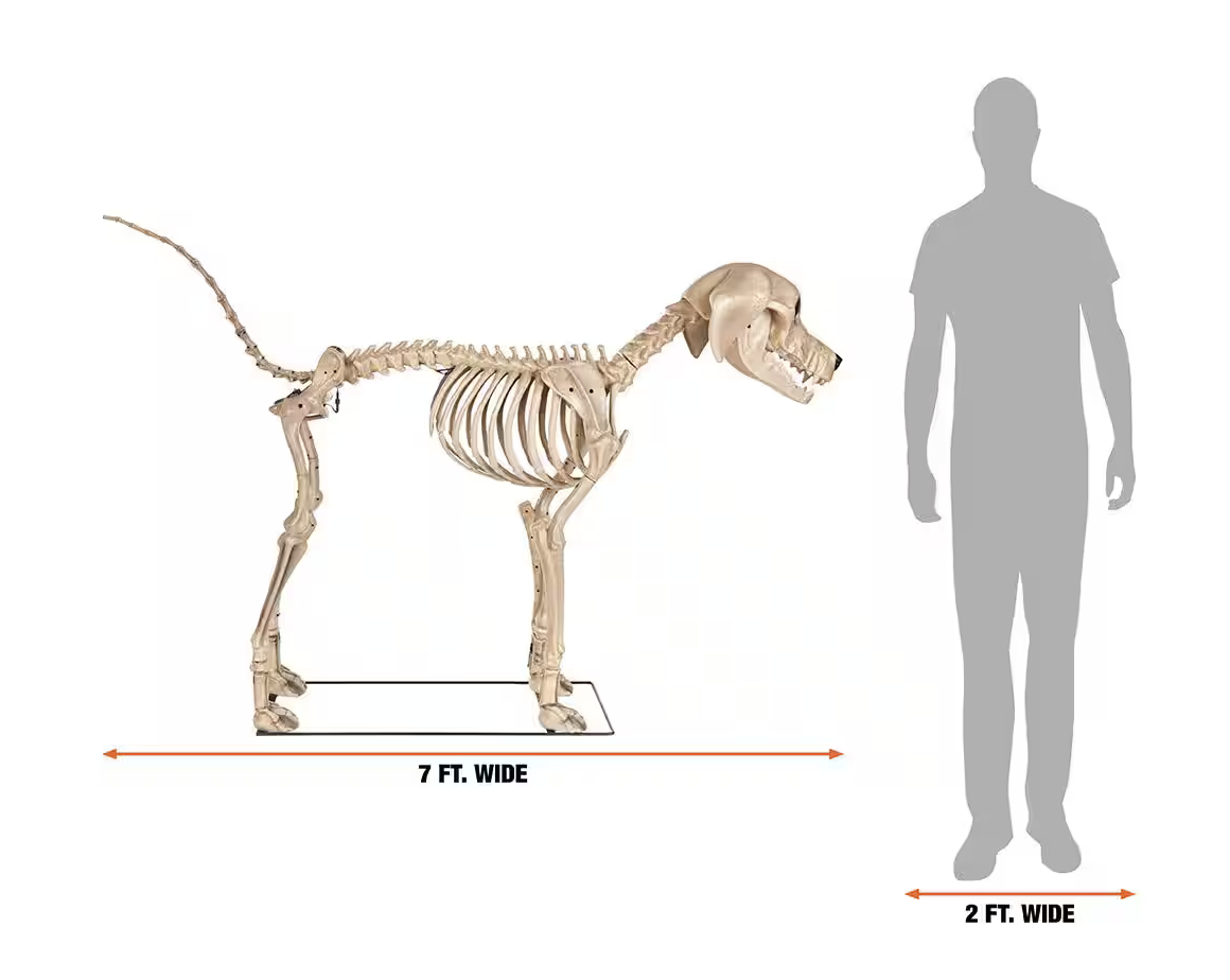 Giant Skelly's Dog Halloween Prop