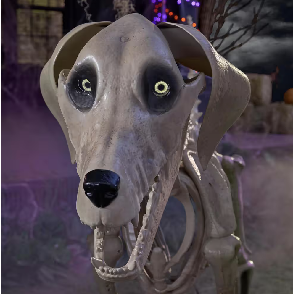 Giant Skelly's Dog Halloween Prop