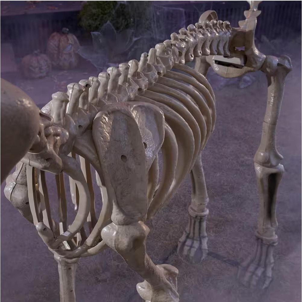 Giant Skelly's Dog Halloween Prop