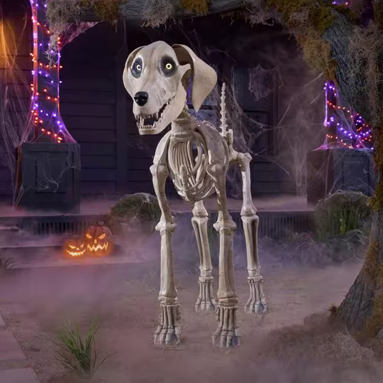 Giant Skelly's Dog Halloween Prop