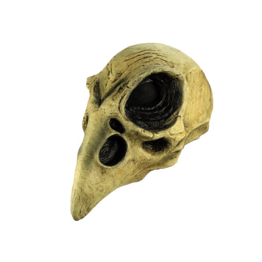 Crow Skull Mask