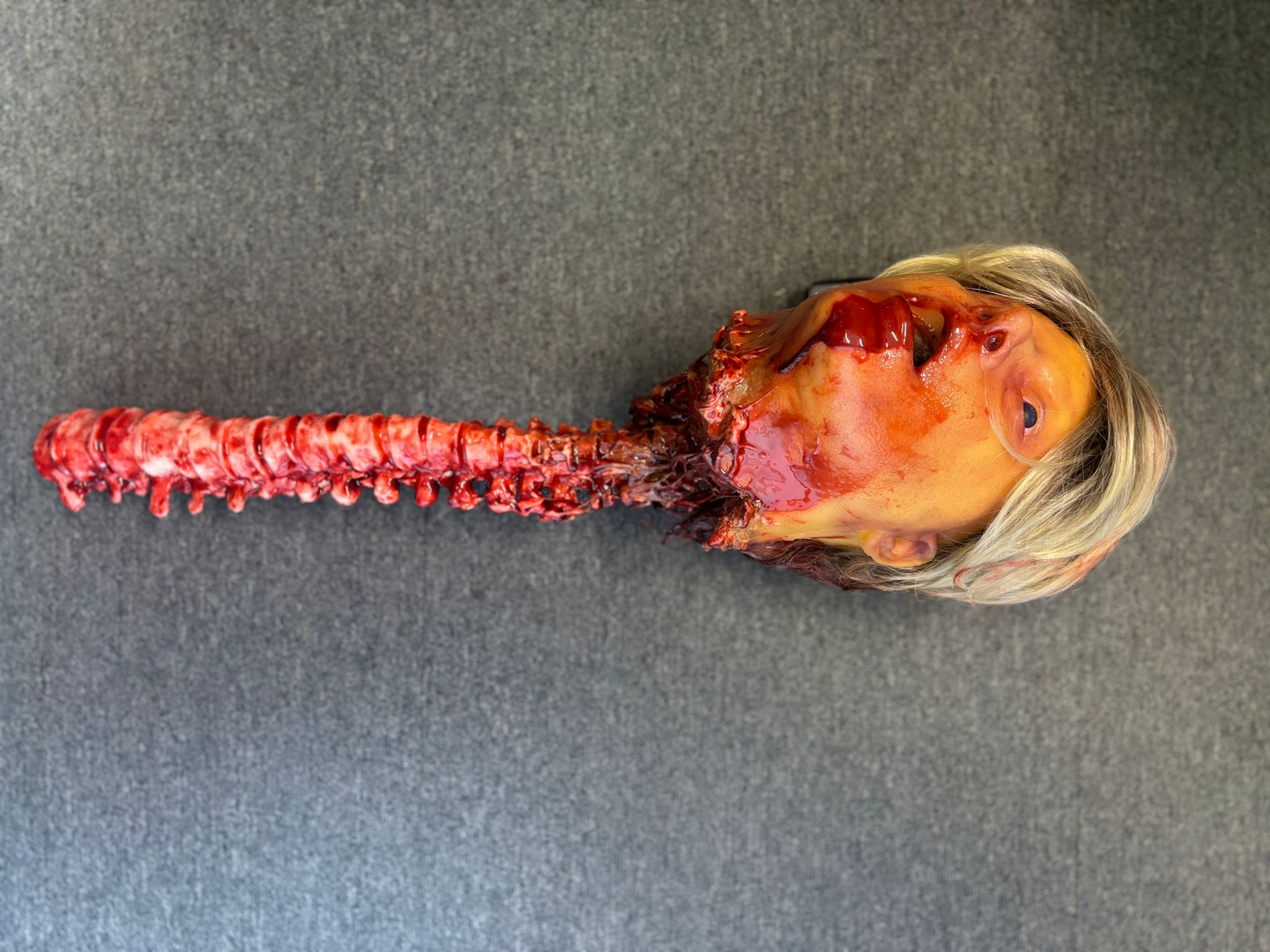 Severed Head With Spine - Bobby