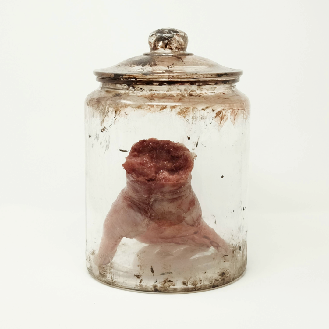 Specimen Jar with Hand