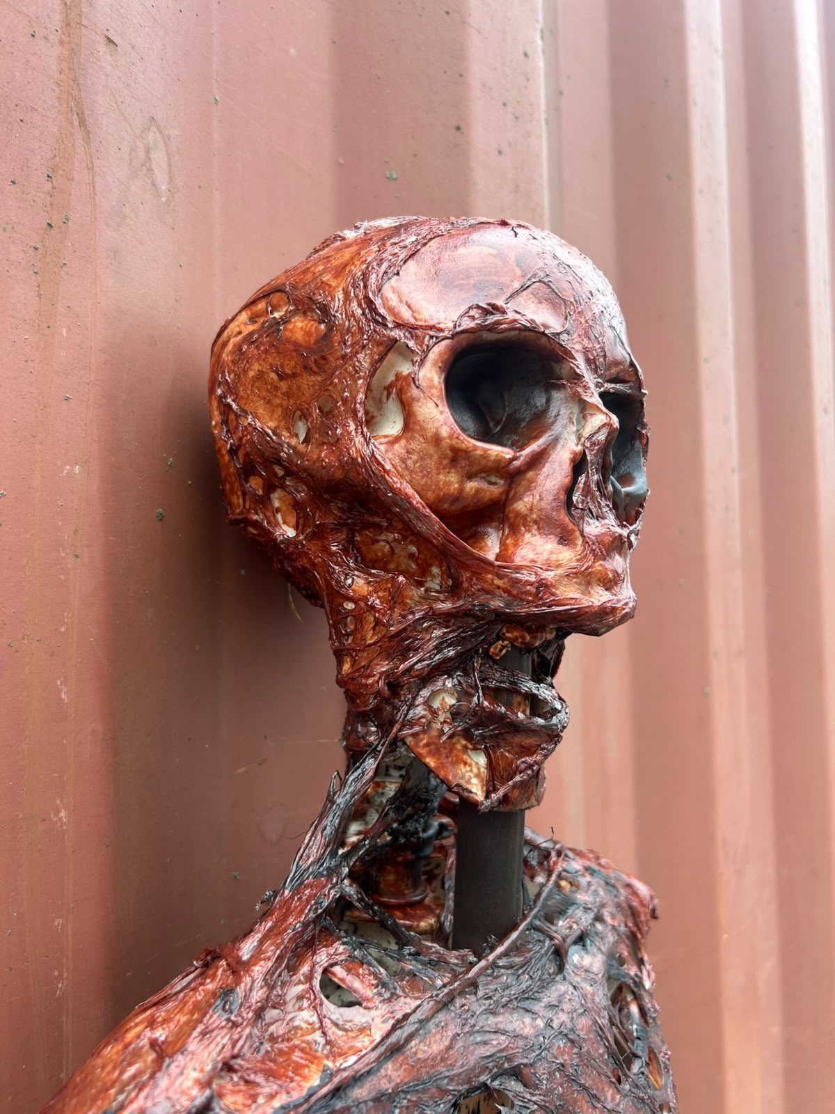 Staked Skinned Skeleton