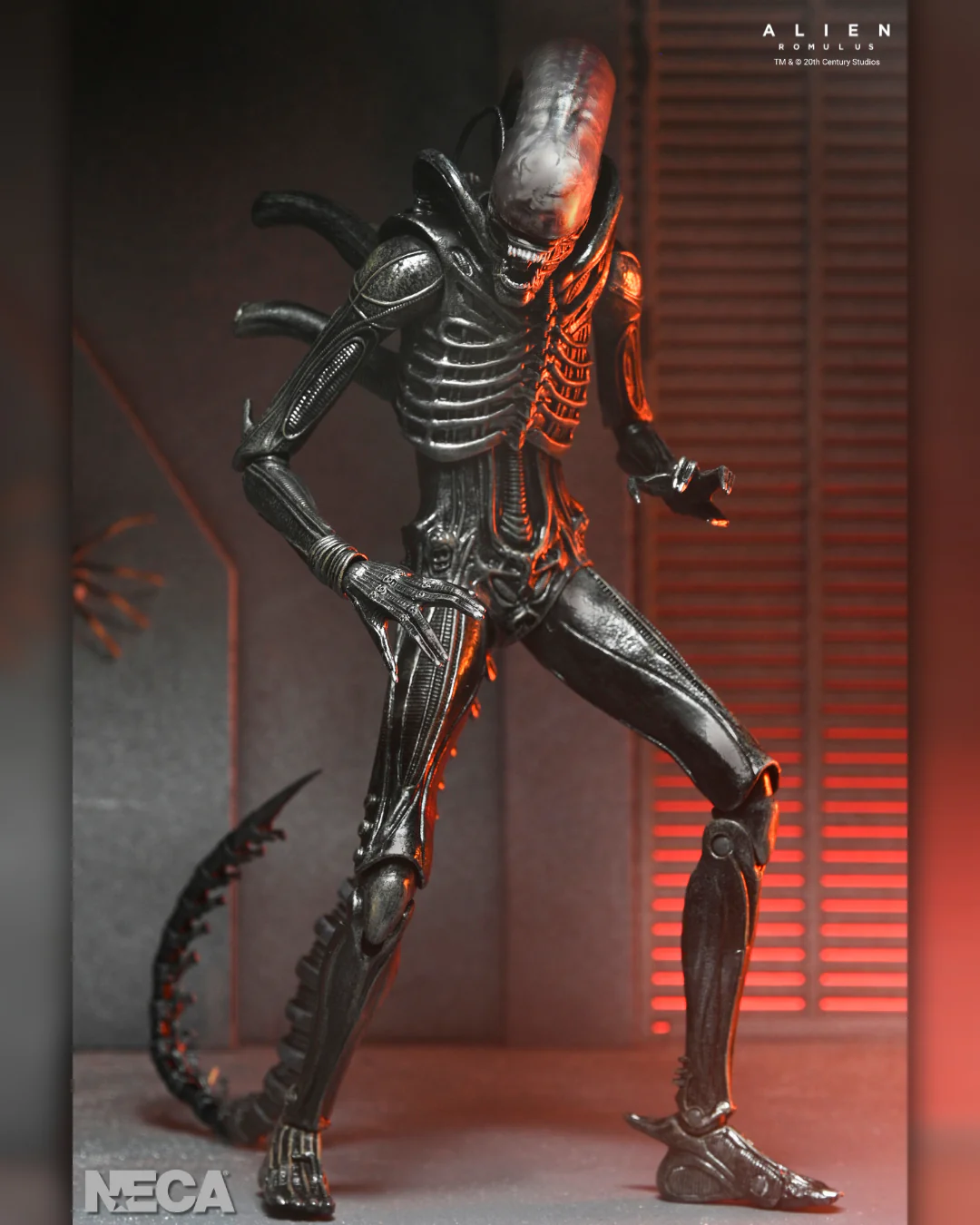 NECA Alien: Romulus - Ultimate Xenomorph XX121 Ultimate 7