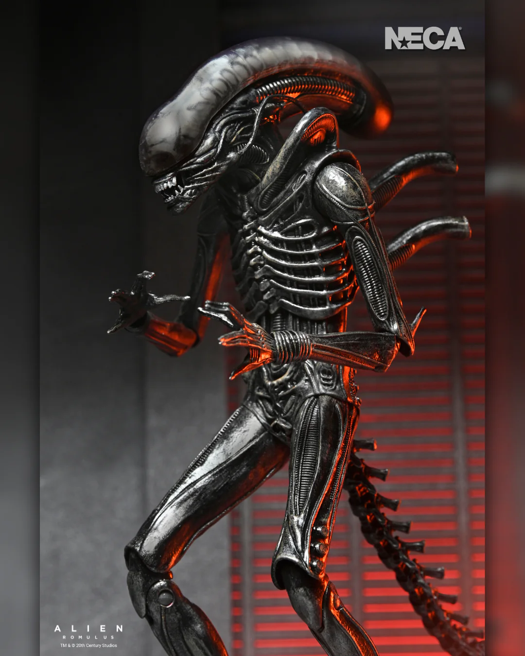 NECA Alien: Romulus - Ultimate Xenomorph XX121 Ultimate 7