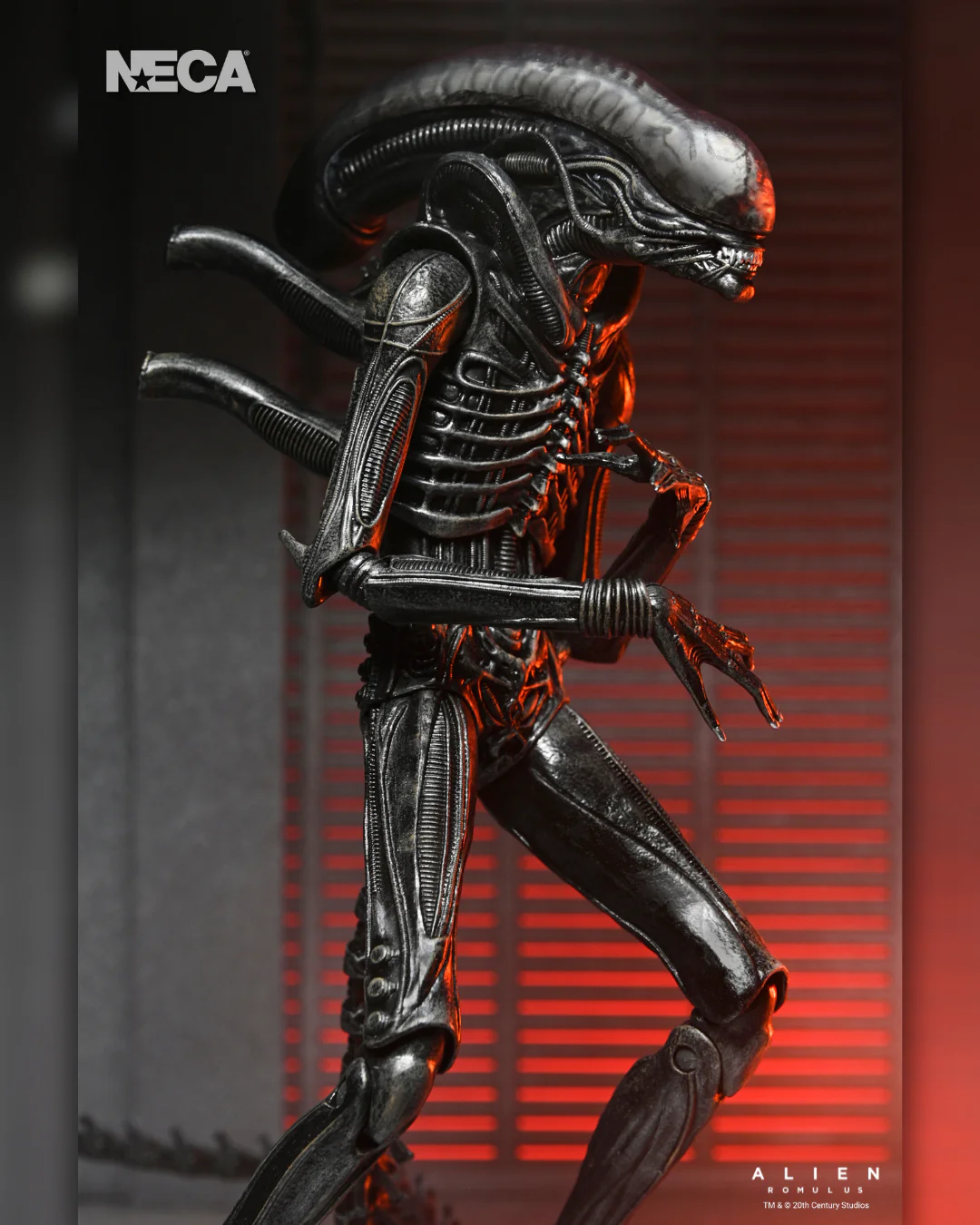 NECA Alien: Romulus - Ultimate Xenomorph XX121 Ultimate 7