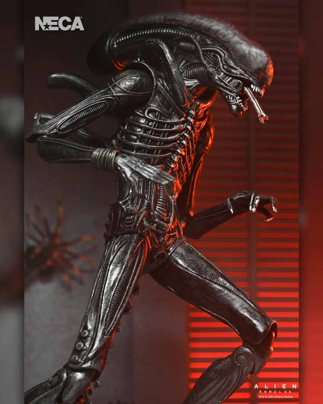 NECA Alien: Romulus - Ultimate Xenomorph XX121 Ultimate 7