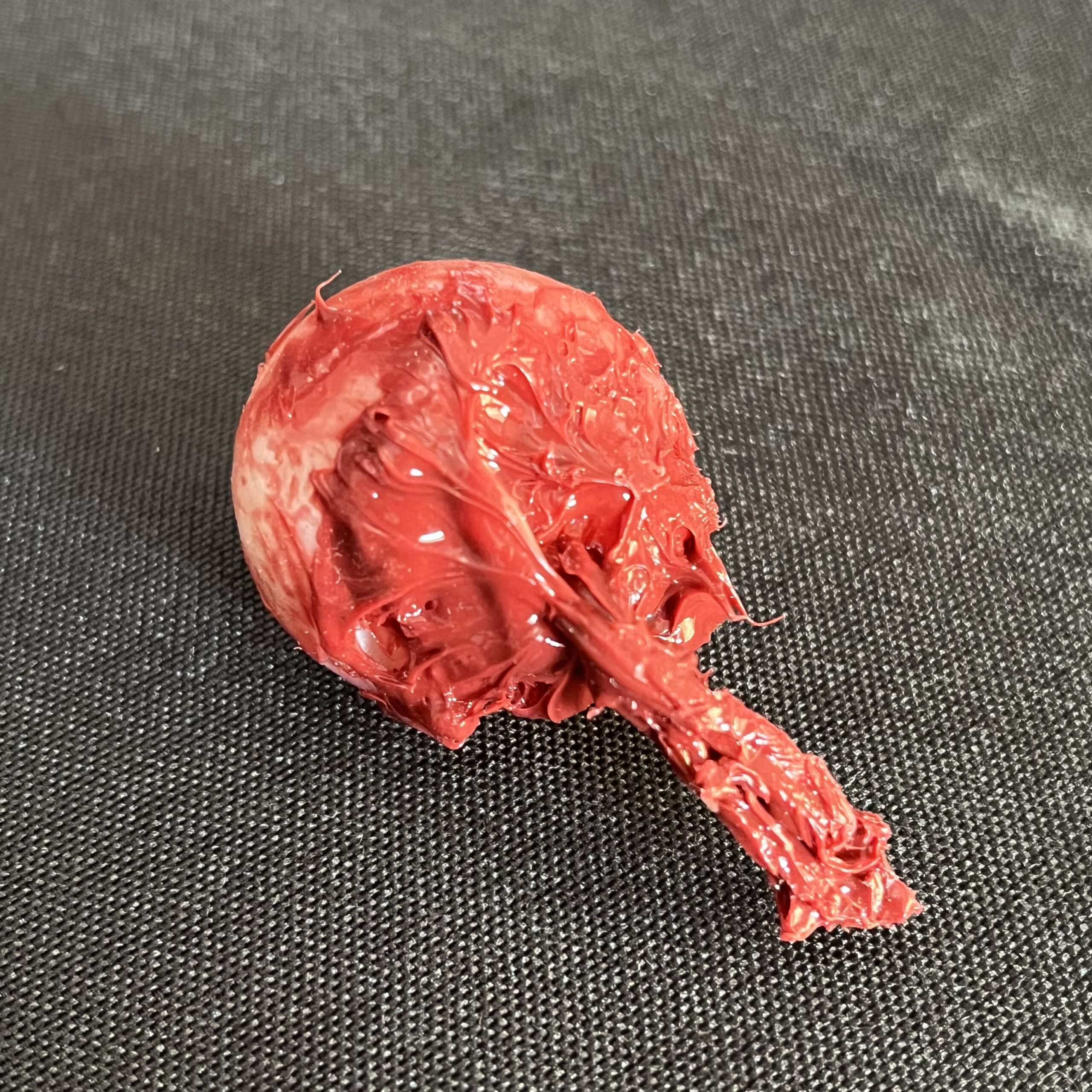 Silicone Eyeball