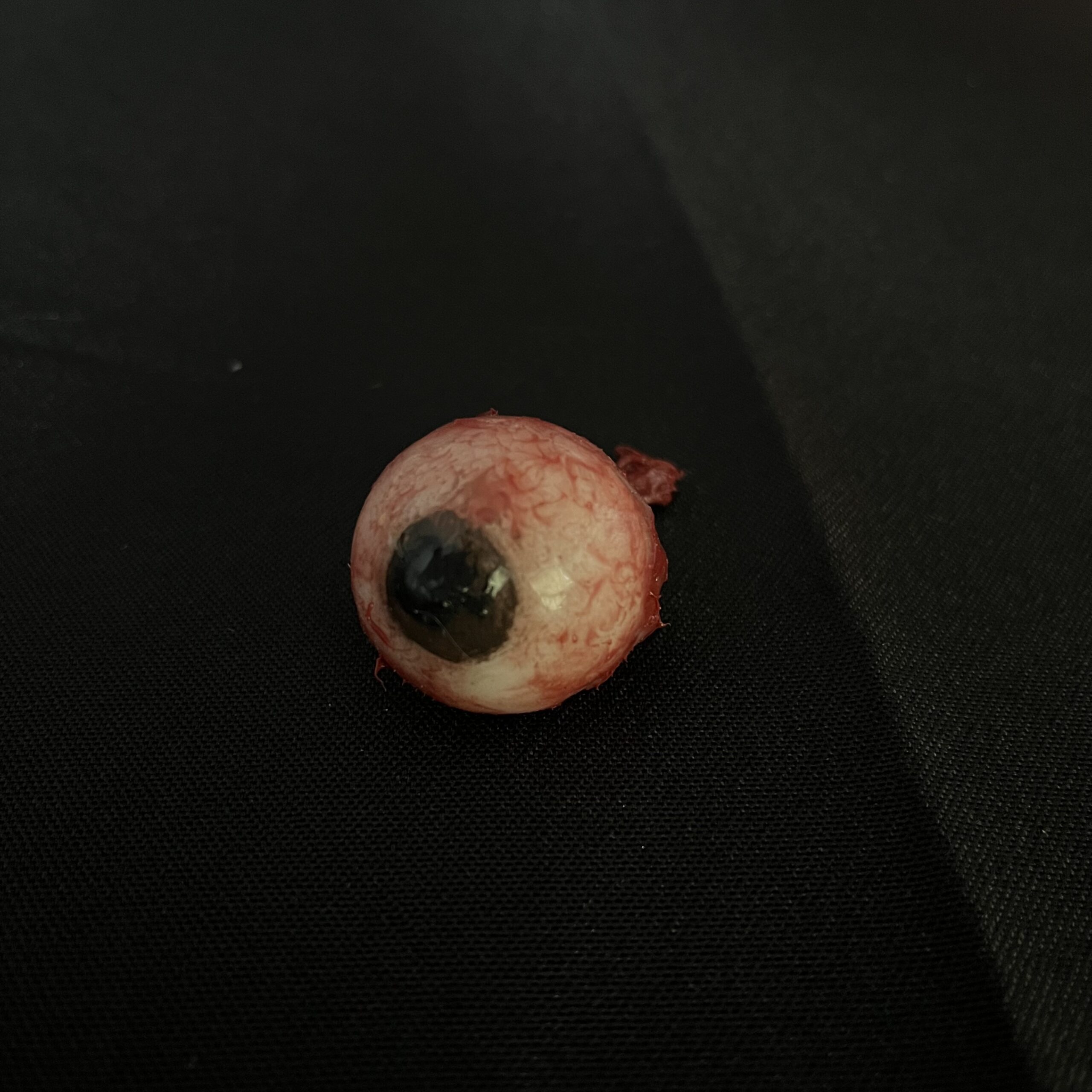 Silicone Eyeball