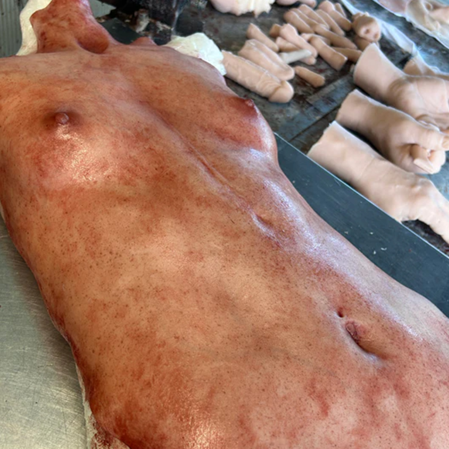 Silicone Skinned Female Torso