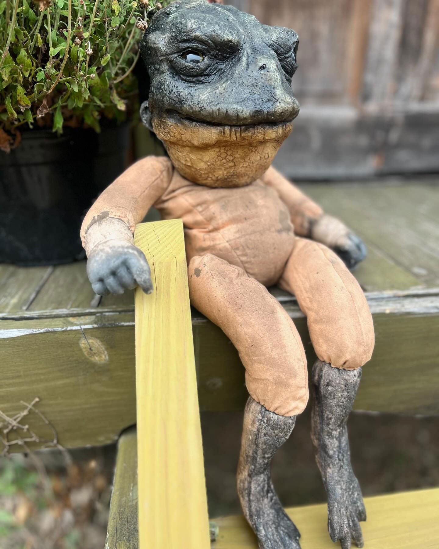 Forevermore Doll - Toad