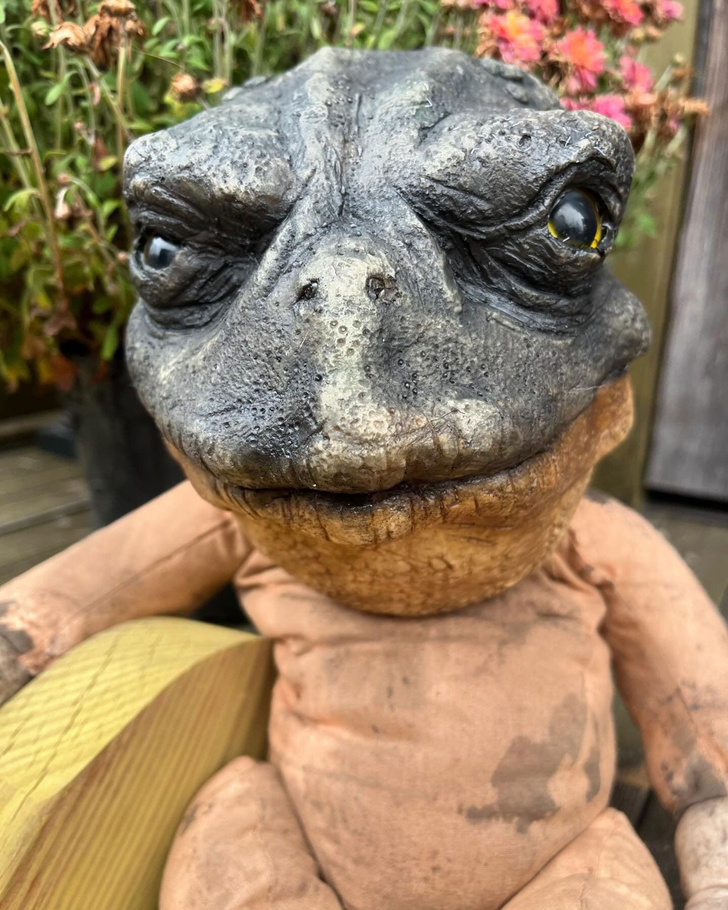 Forevermore Doll - Toad