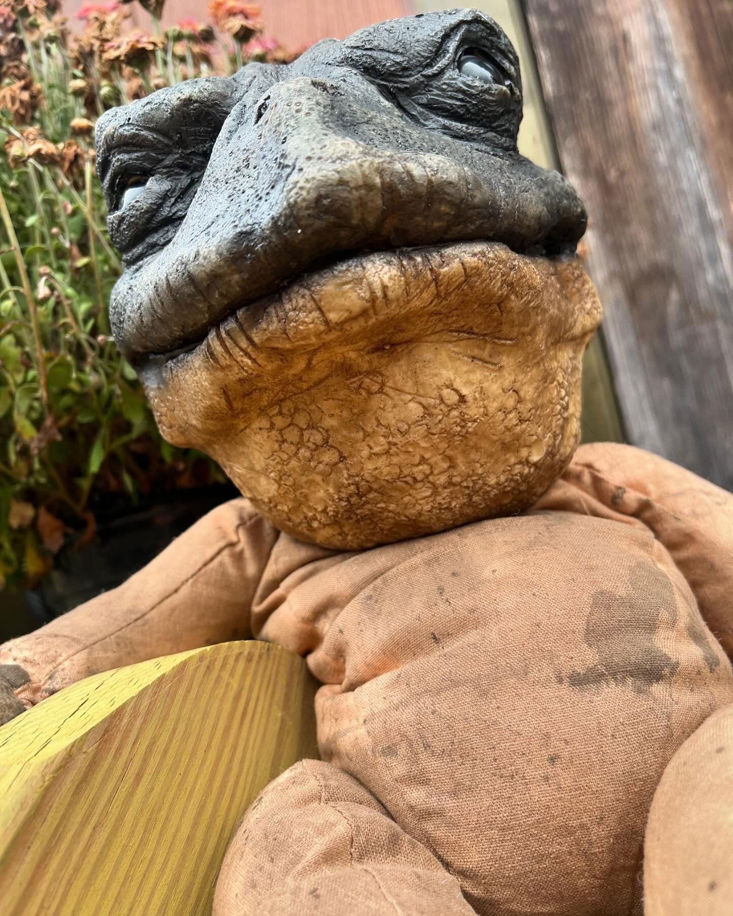 Forevermore Doll - Toad