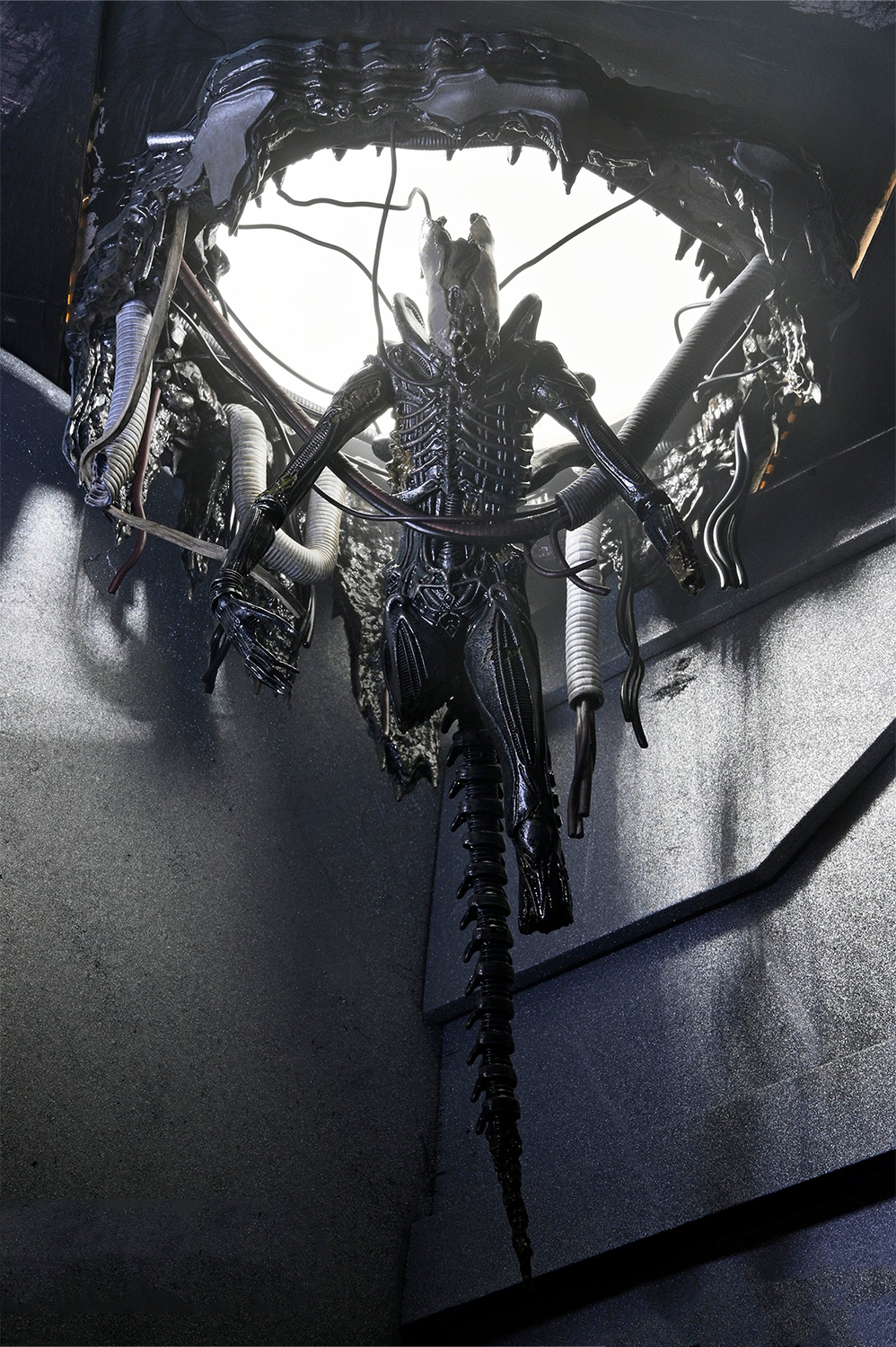 NECA Alien: Romulus - Deluxe Suspended Lab Xenomorph XX121 Deluxe 7