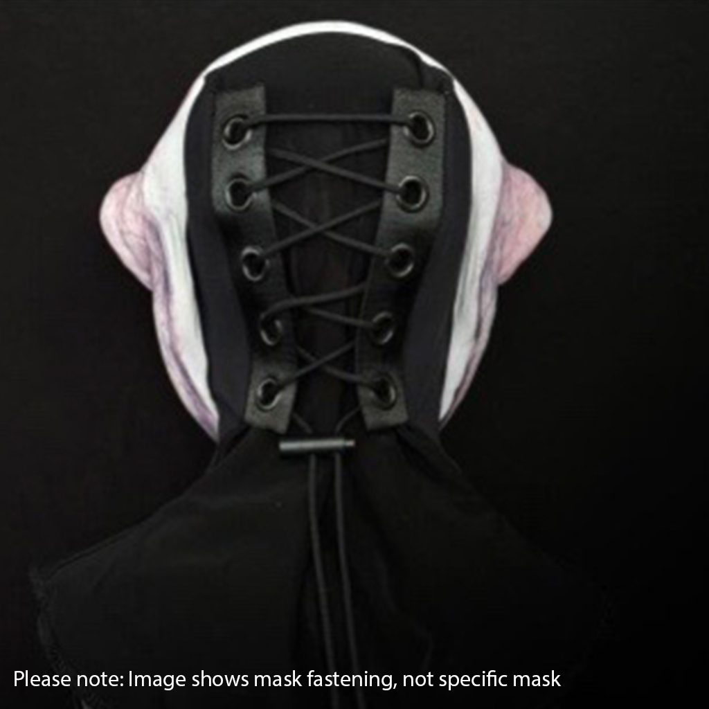 Carnevil 'Halloween' Silicone Clown Mask