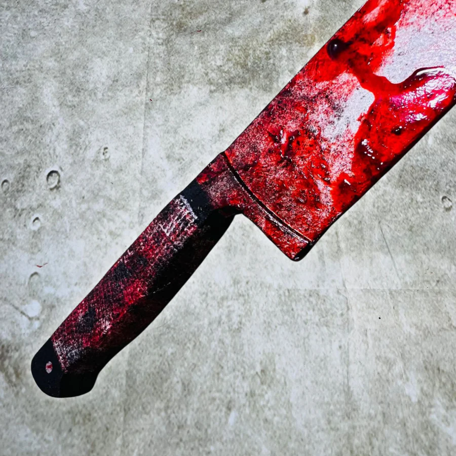 Bloody Kitchen Knife (Premium Range)