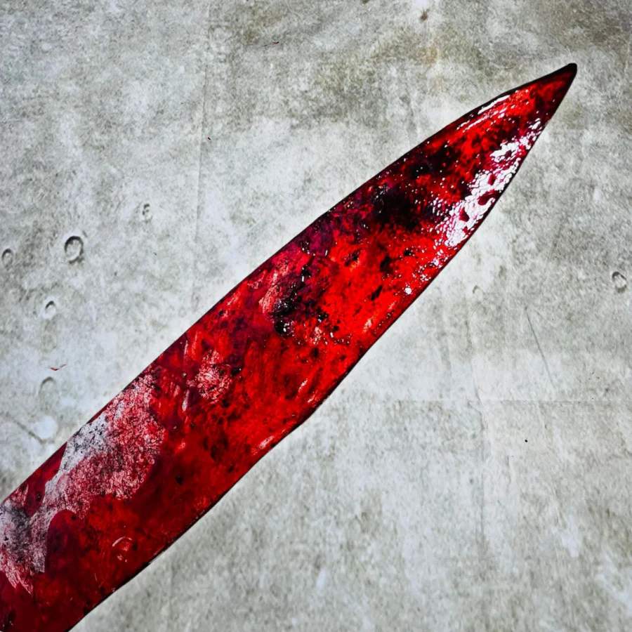 Bloody Kitchen Knife (Premium Range)