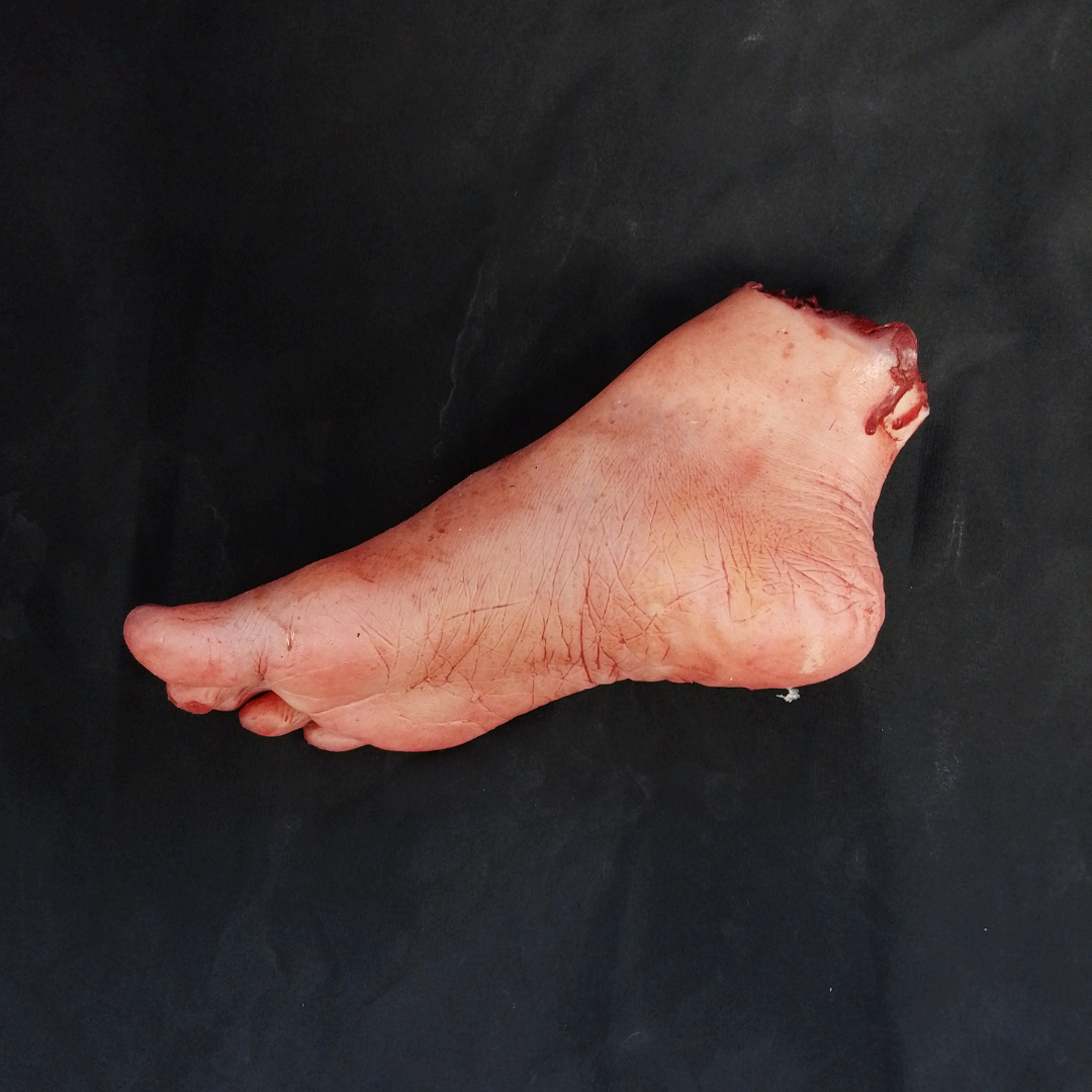 Silicone Female Severed Foot