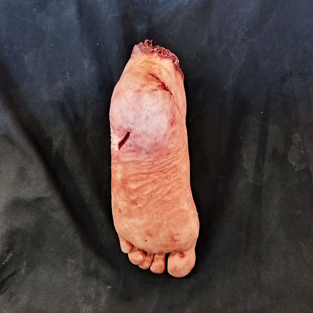 Silicone Male Severed Foot - Scarred