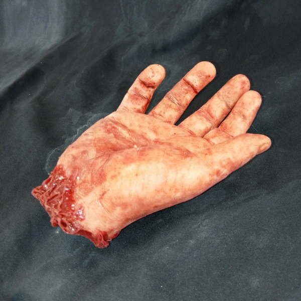 Male Severed Hand