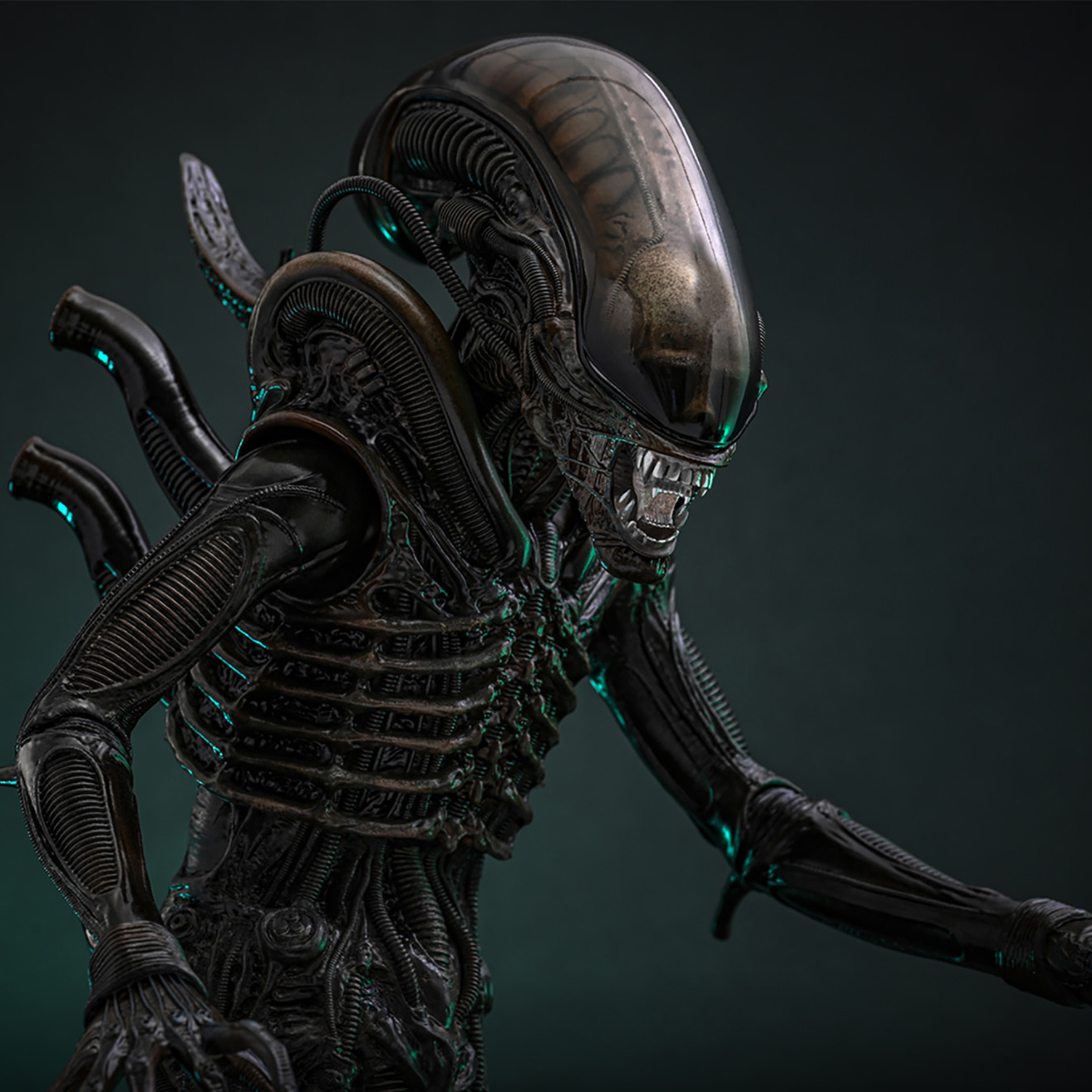 Hot Toys Alien - Big Chap Xenomorph 1/6 Scale Action Figure