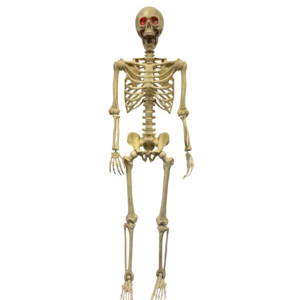 5ft Lifesize Posable Skeleton with LED Eyes
